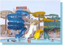  Albatros Resort